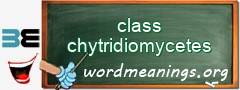 WordMeaning blackboard for class chytridiomycetes